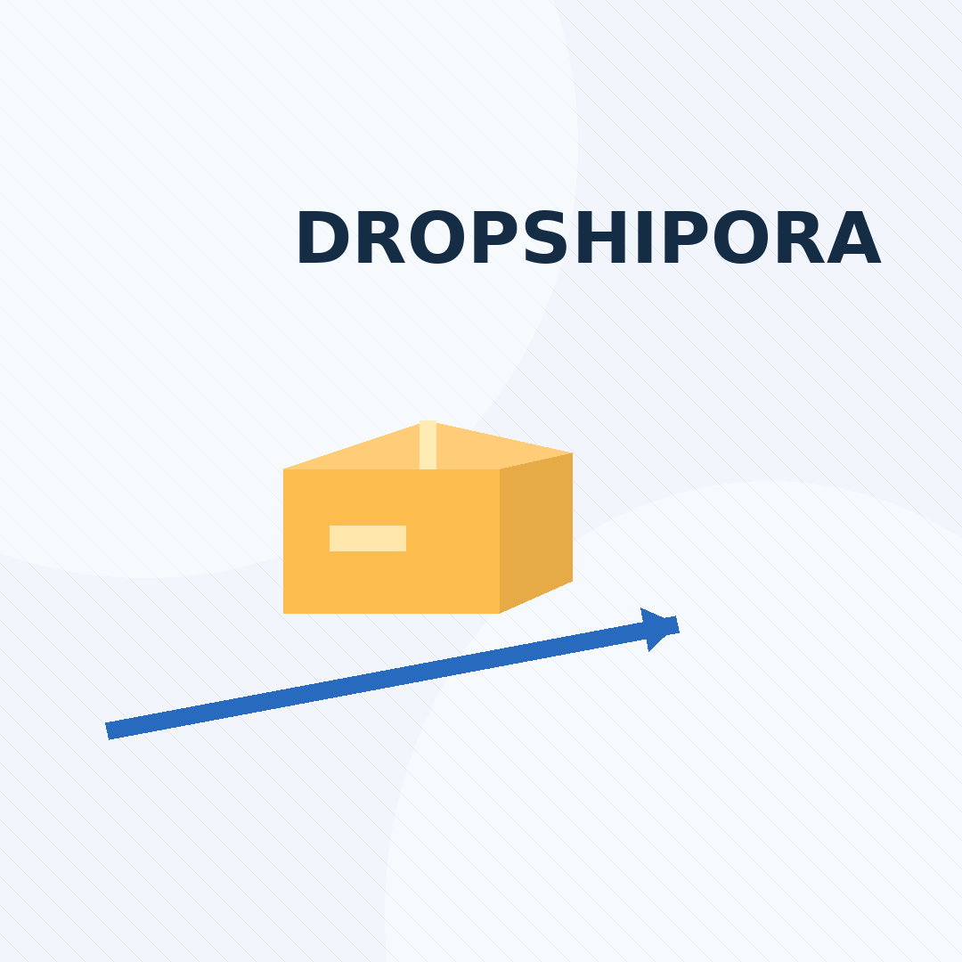 DROPSHIPORA — Dropship-box